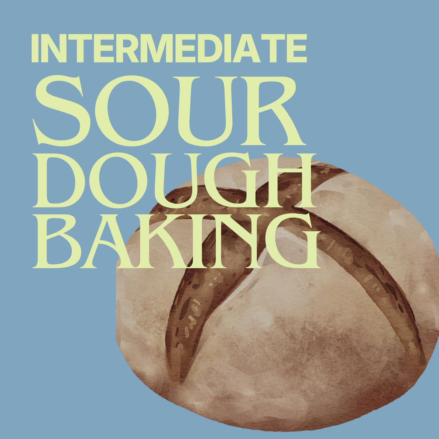 Intermediate Sourdough Baking - Sunday, September 6, 2026
