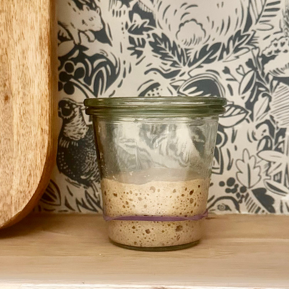 Sourdough Starter Kit - The Salty Dough Company